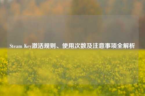 Steam Key激活规则、使用次数及注意事项全解析