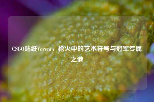 CSGO贴纸Voyem，枪火中的艺术符号与冠军专属之谜
