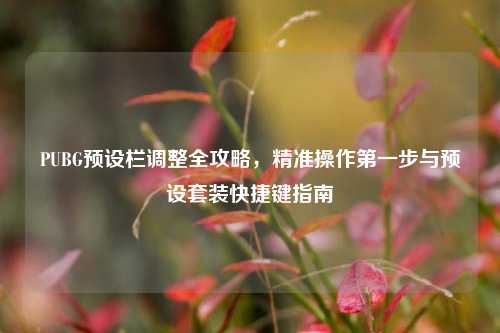 PUBG预设栏调整全攻略，精准操作第一步与预设套装快捷键指南