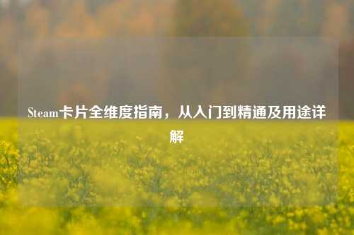 Steam卡片全维度指南，从入门到精通及用途详解