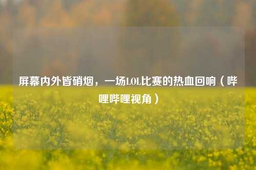 屏幕内外皆硝烟，一场LOL比赛的热血回响（哔哩哔哩视角）