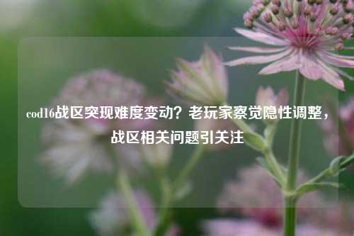 cod16战区突现难度变动？老玩家察觉隐性调整，战区相关问题引关注