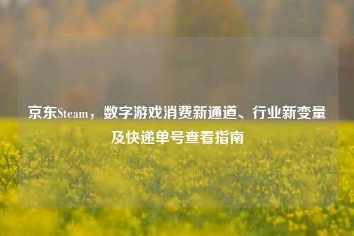 京东Steam，数字游戏消费新通道、行业新变量及快递单号查看指南