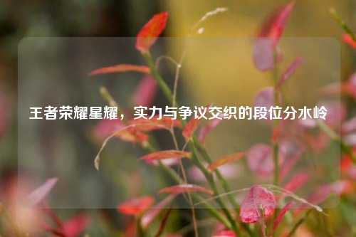 王者荣耀星耀，实力与争议交织的段位分水岭