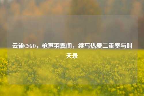 云雀CSGO，枪声羽翼间，续写热爱二重奏与叫天录