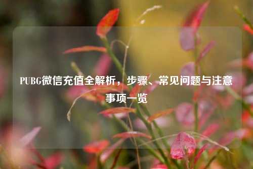 PUBG微信充值全解析,步骤、常见问题与注意事项一览