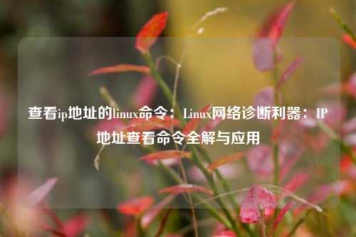 查看ip地址的linux命令:Linux网络诊断利器:IP地址查看命令全解与应用