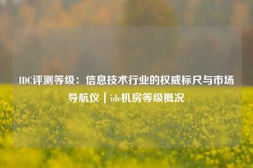 IDC评测等级:信息技术行业的权威标尺与市场导航仪|idc机房等级概况