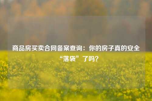 商品房买卖合同备案查询：你的房子真的安全“落袋”了吗？