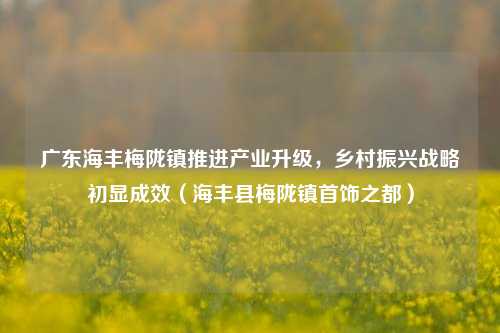 广东海丰梅陇镇推进产业升级,乡村振兴战略初显成效(海丰县梅陇镇首饰之都)