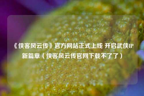 《侠客风云传》官方网站正式上线 开启武侠IP新篇章（侠客风云传官网下载不了了）