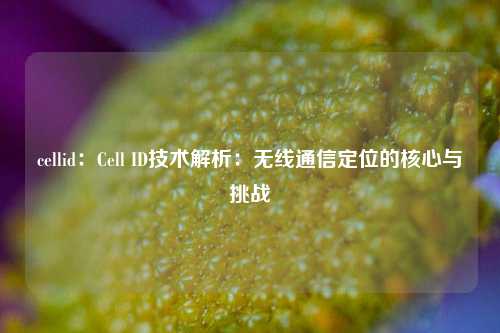 cellid：Cell ID技术解析：无线通信定位的核心与挑战