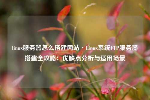 linux服务器怎么搭建网站·Linux系统FTP服务器搭建全攻略：优缺点分析与适用场景
